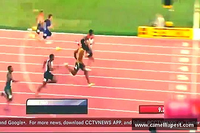 解读bevictor伟德